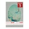 Light Grey Suede Mat Board for 13x19 Frames - Oval Opening for 11x16 Photos